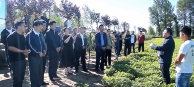 技术支撑有力 昌图花生超高产试验田亩产均超千斤
